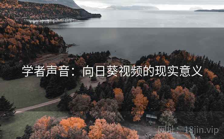 学者声音：向日葵视频的现实意义