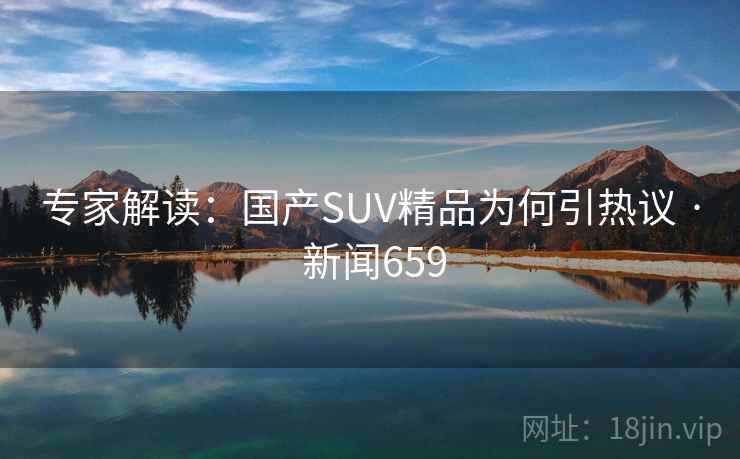 专家解读：国产SUV精品为何引热议 · 新闻659