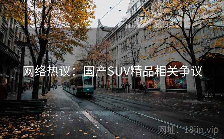 网络热议：国产SUV精品相关争议