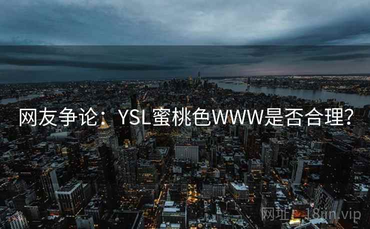 网友争论:YSL蜜桃色WWW是否合理?